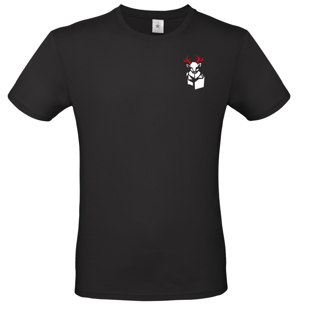Tee shirt Cerynie Ancien Logo